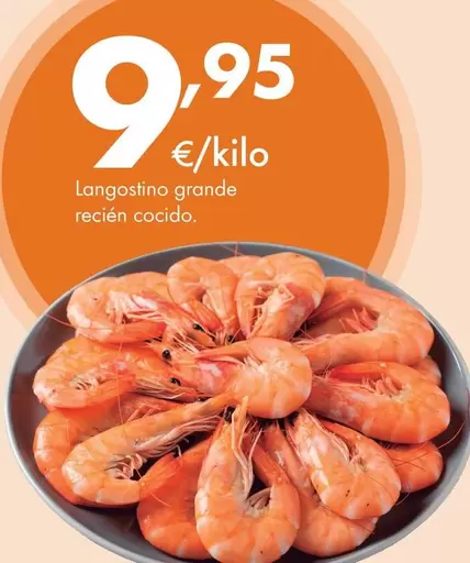 Langostino Grande Recien Cocido