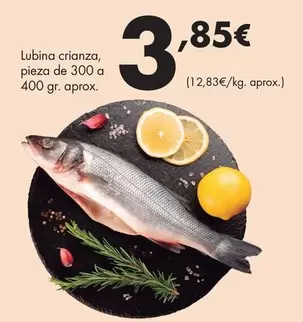Lubina Crianza