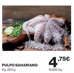 Pulpo Sahariano