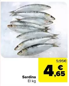 Sardina