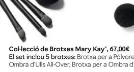 Mary Kay - Collecció De Brotxes