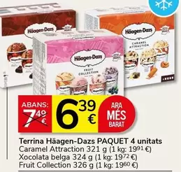 Häagen-Dazs - Terrina