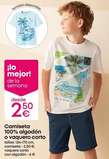 Camiseta 100% Algodón O Vaquero Corto