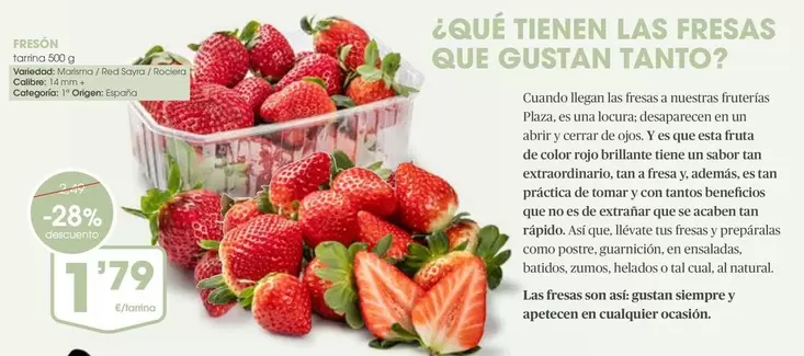 origen - Que Testa De Fruits