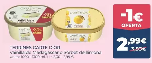 Carte d'Or - Vainilla De Madagascar O Sorbet De Llimona