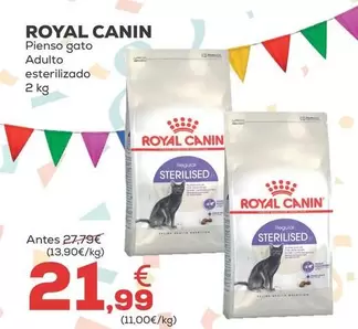 Royal Canin - Pienso Gato Adulto Esterilizado