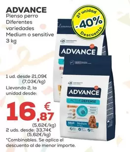 Advance - Pienso Perro