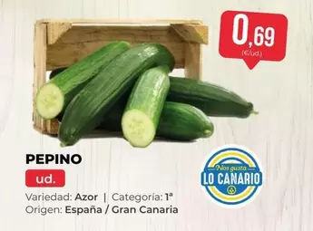 origen - Pepino