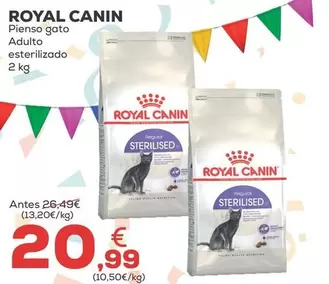 Royal Canin - Pienso Gato Adulto Esterilizado