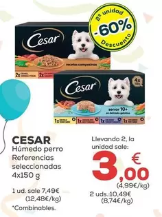 Cesar - Humedo Perro