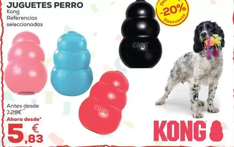 Kong - Juguetes Perro