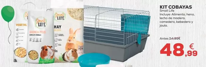 Small Life - Kit Cobayas