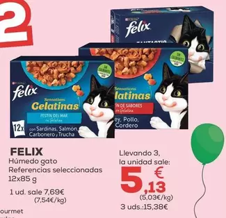 Felix - Humedo Gato