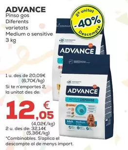 Advance - Pienso Perro