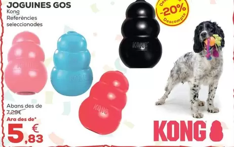 Kong - Juguetes Perro