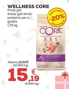 Wellness Core - Pienso Gato Sabor Pavo