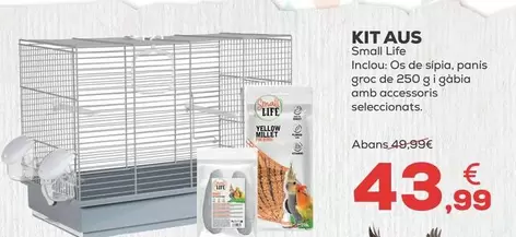 Small Life - Kit Aves