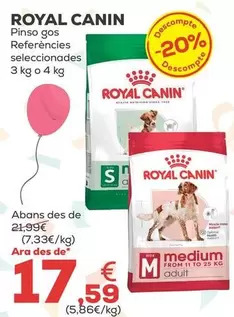 Royal Canin - Pienso Perro Diferentes