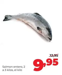 Salmon Entero