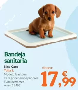 Nice Care - Bandeja Sanitaria