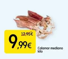 Calamar Mediano
