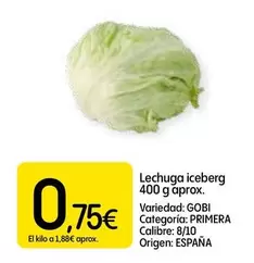 Lechuga Iceberg
