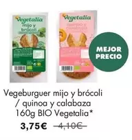 Vegetalia - Vegeburguer mijo y brócoli / quinoa y calabaza 160g BIO