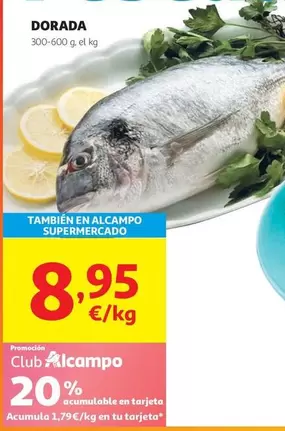 Dorada
