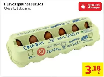 HUEVO GALL. SUELTAS GALLINERO L AUCHAN 1 DOC                