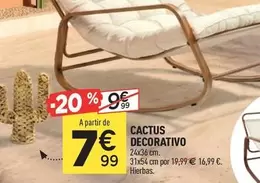 Cactus Decorativo