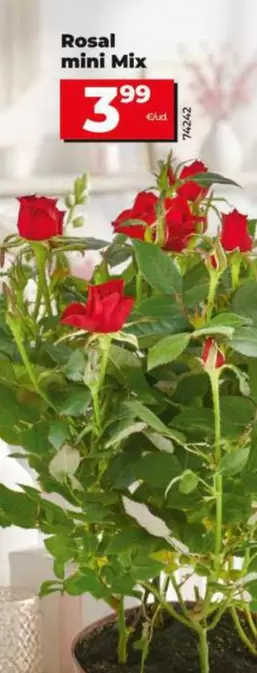 Rosal Mini Mix