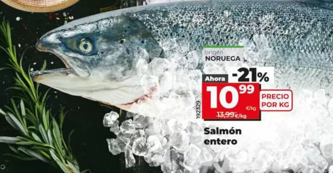 Salmón Entero 