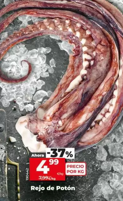 Rejo De Potón