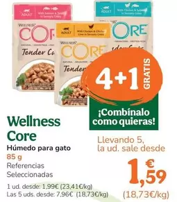 Wellness Core - Humedo Para Gato