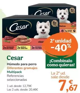 Cesar - Humedo Para Perro