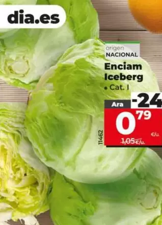 Lechuga Iceberg