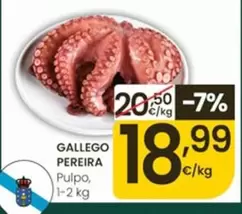 Gallego Pereira - Pulpo