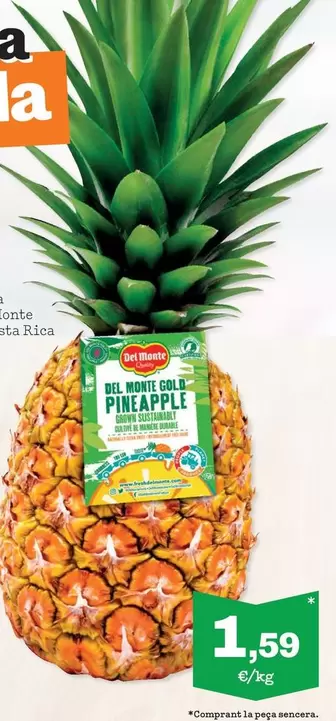 Del Monte - Pinya De Costa Rica