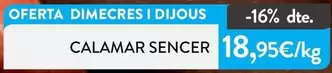 Calamar Sencer