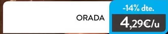 Orada