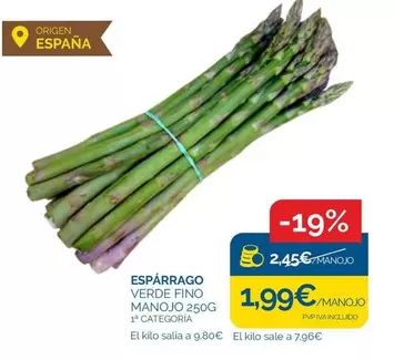 origen - Espárrago Verde Fino Manojo