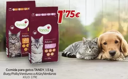 Tandy - Comida Para Gatos