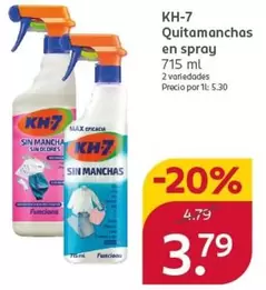KH-7 - Quitamanchas En Spray