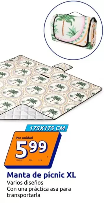 Manta De Pícnic XL