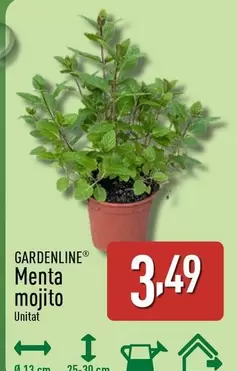 Gardenline - Menta Mojito