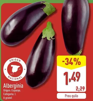 Alberginia Origen: Espanya