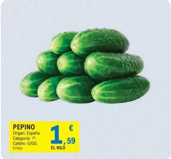 origen - Pepino