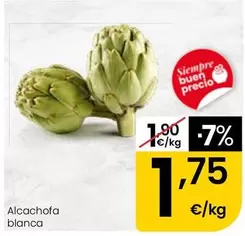 Alcachofa Blanca