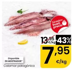 Calamar Patagonico