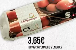campomayor - Huevos